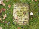 image number Meredith James 411
